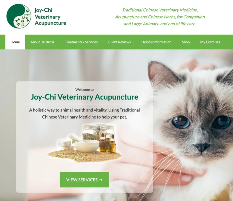 Screen capture of the homepage for Joy-Chi Vet. On the right is a close-up of a white kitten with a grey face and blue eyes. To the left is the Joy-Chi Vet mission statement.